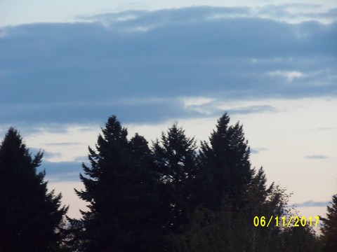 100_3333.JPG