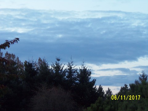 100_3334.JPG