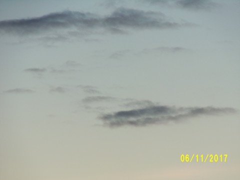 100_3335.JPG