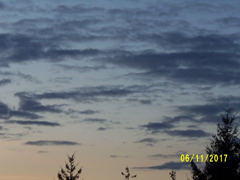 100_3337.JPG