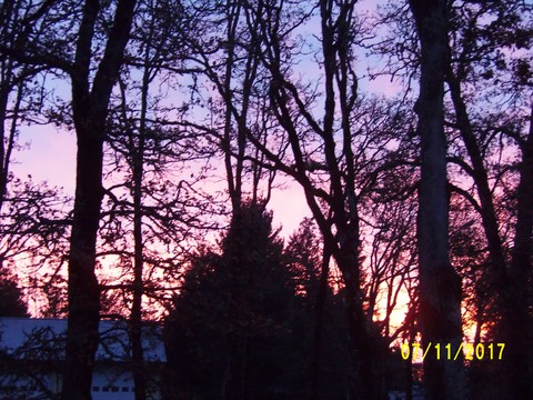 100_3351.JPG