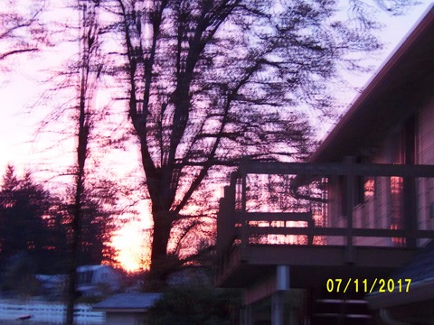 100_3353.JPG