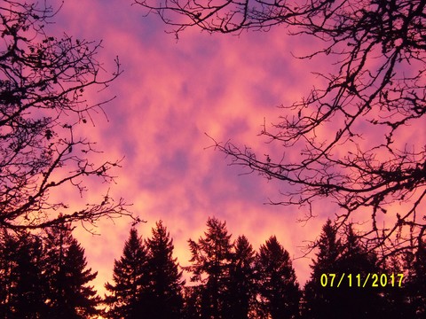 100_3357.JPG