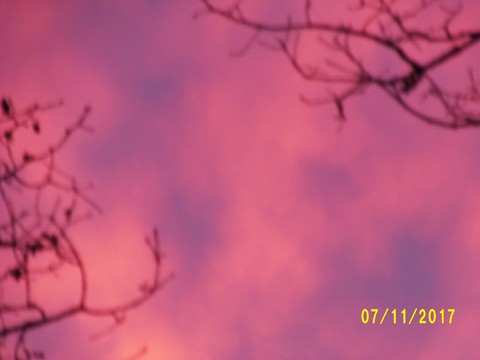 100_3355.JPG
