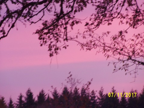 100_3360.JPG