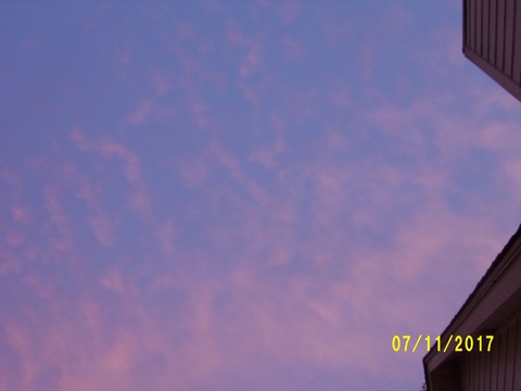 100_3372.JPG