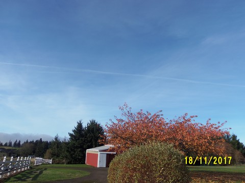 100_3410.JPG