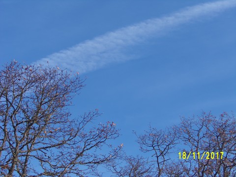 100_3415.JPG