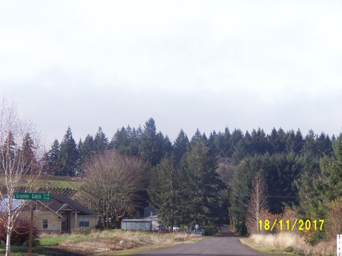 100_3424.JPG
