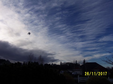100_3443.JPG