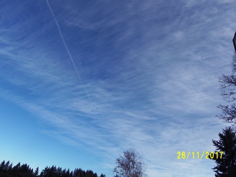 100_3446.JPG