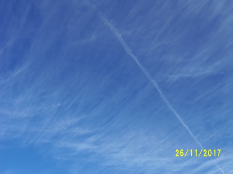 100_3448.JPG