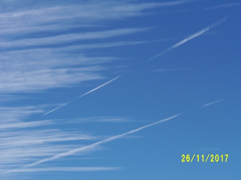 100_3454.JPG