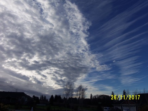 100_3453.JPG