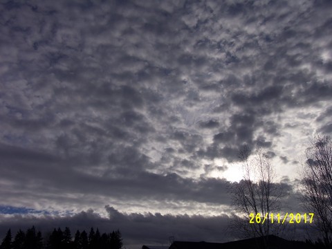 100_3460.JPG