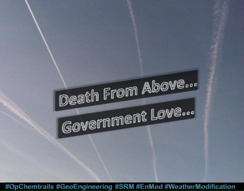 GOV. LOVE.png