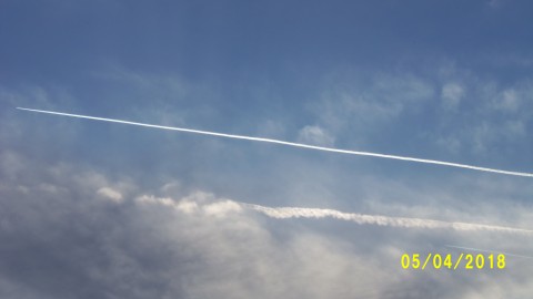 100_4064.JPG