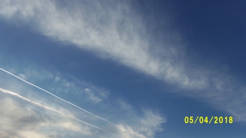 100_4065.JPG