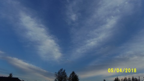100_4067.JPG