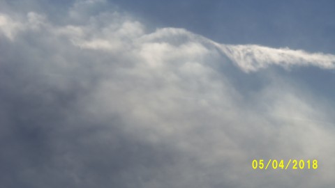 100_4070.JPG