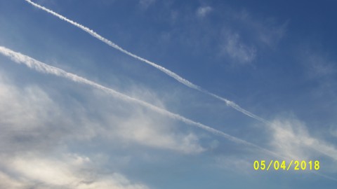 100_4071.JPG