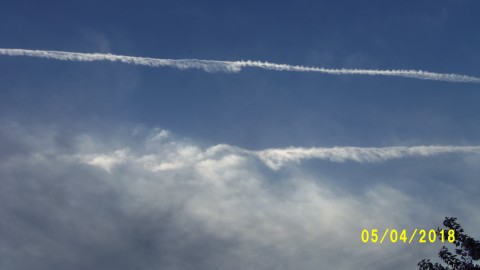 100_4073.JPG