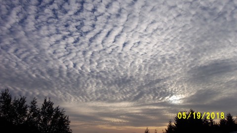 100_4087.JPG