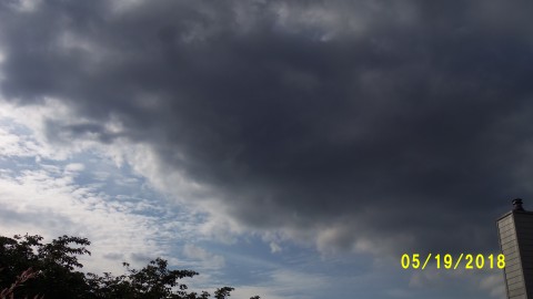 100_4081.JPG