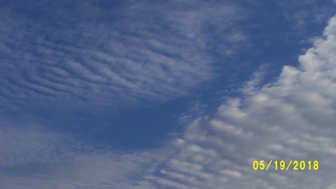 100_4092.JPG
