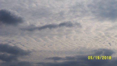 100_4080.JPG