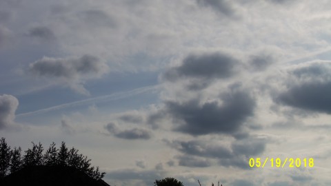 100_4077.JPG