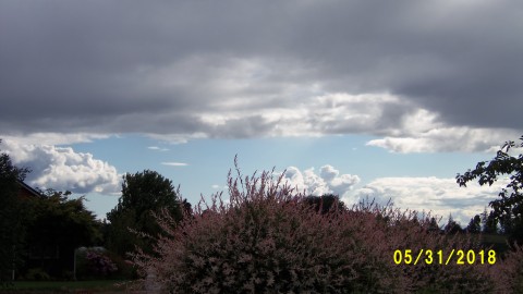 100_4179.JPG