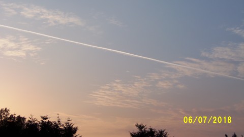 100_4235.JPG