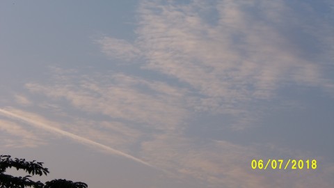 100_4238.JPG
