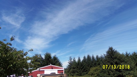 100_4432.JPG