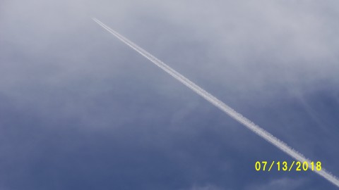 100_4459.JPG