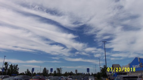 100_4516.JPG