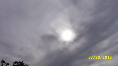 100_4517.JPG