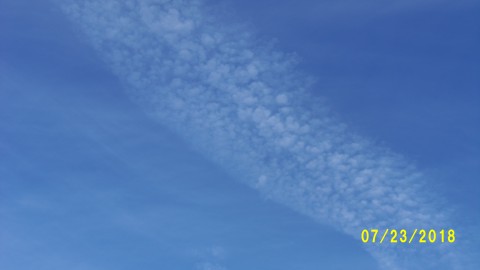 100_4519.JPG
