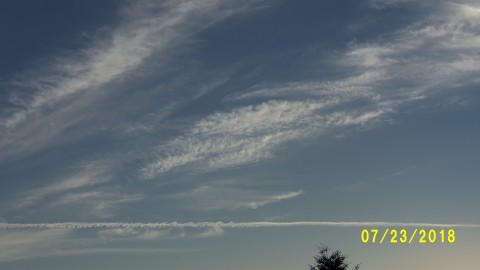 100_4525.JPG