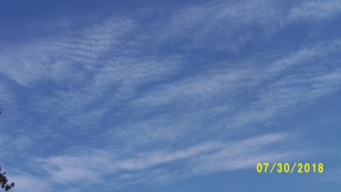 100_4534.JPG