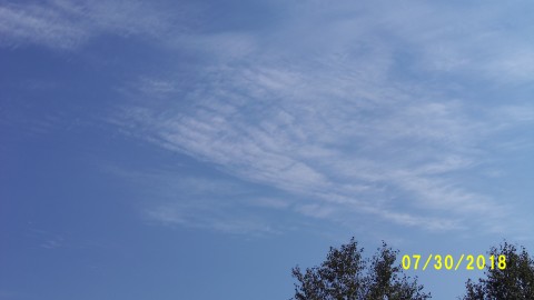 100_4535.JPG