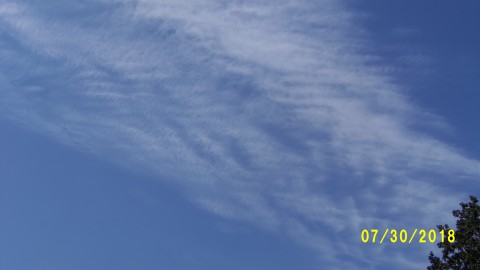 100_4536.JPG