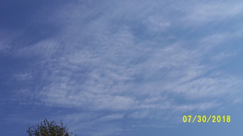 100_4541.JPG