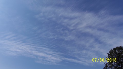 100_4547.JPG