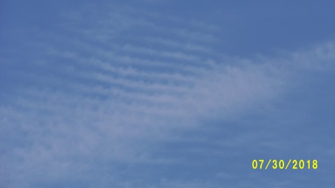 100_4548.JPG