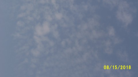 100_4567.JPG