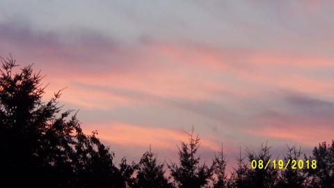 100_4571.JPG