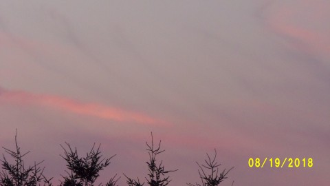 100_4575.JPG