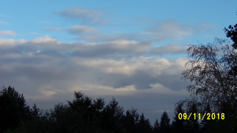 100_4685.JPG